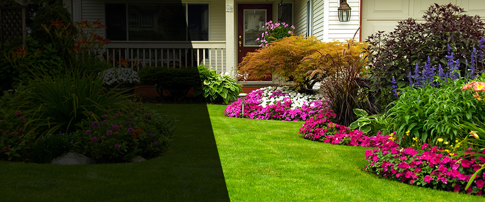 Romney Landscapers