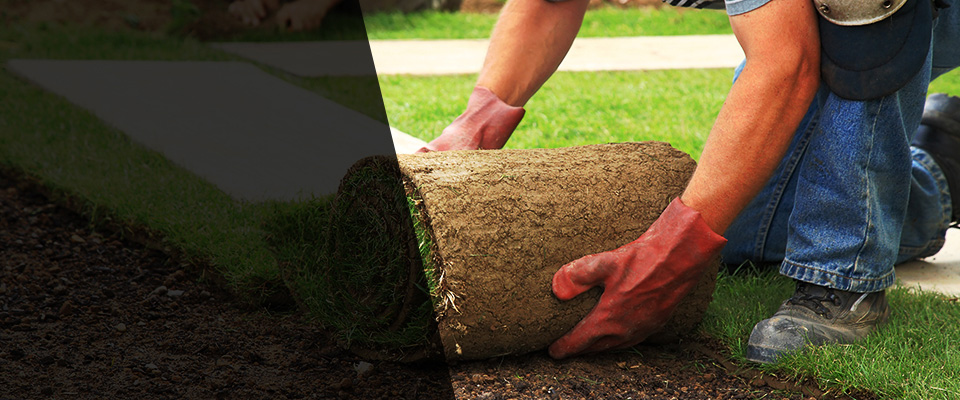Romney Landscapers